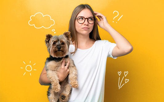 Custom Pet Hats: The Trendy Must-Have Accessory for Stylish Pets – PetsCustom