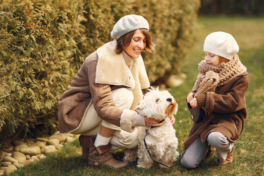 Understanding Your Pet’s Emotional Needs
