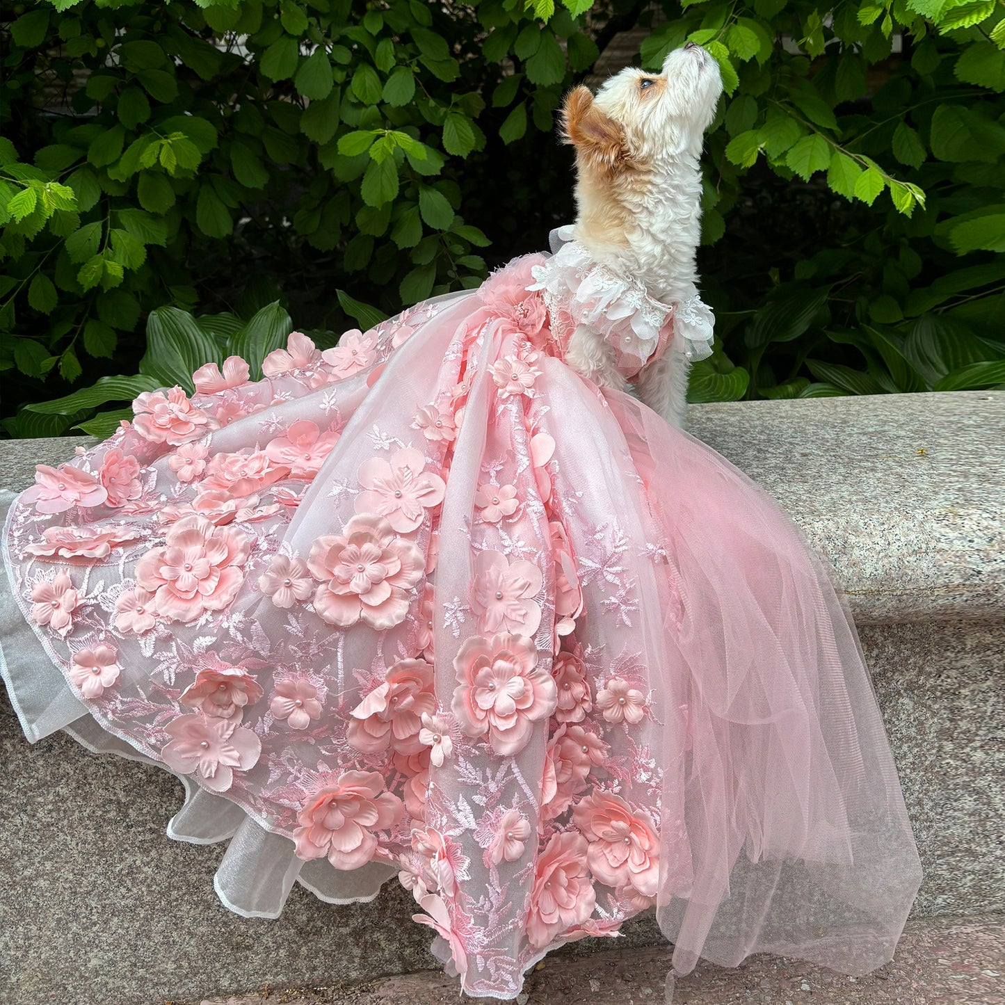 Pink 3D Floral Wedding Gown for Dogs/Cats – Long Train
