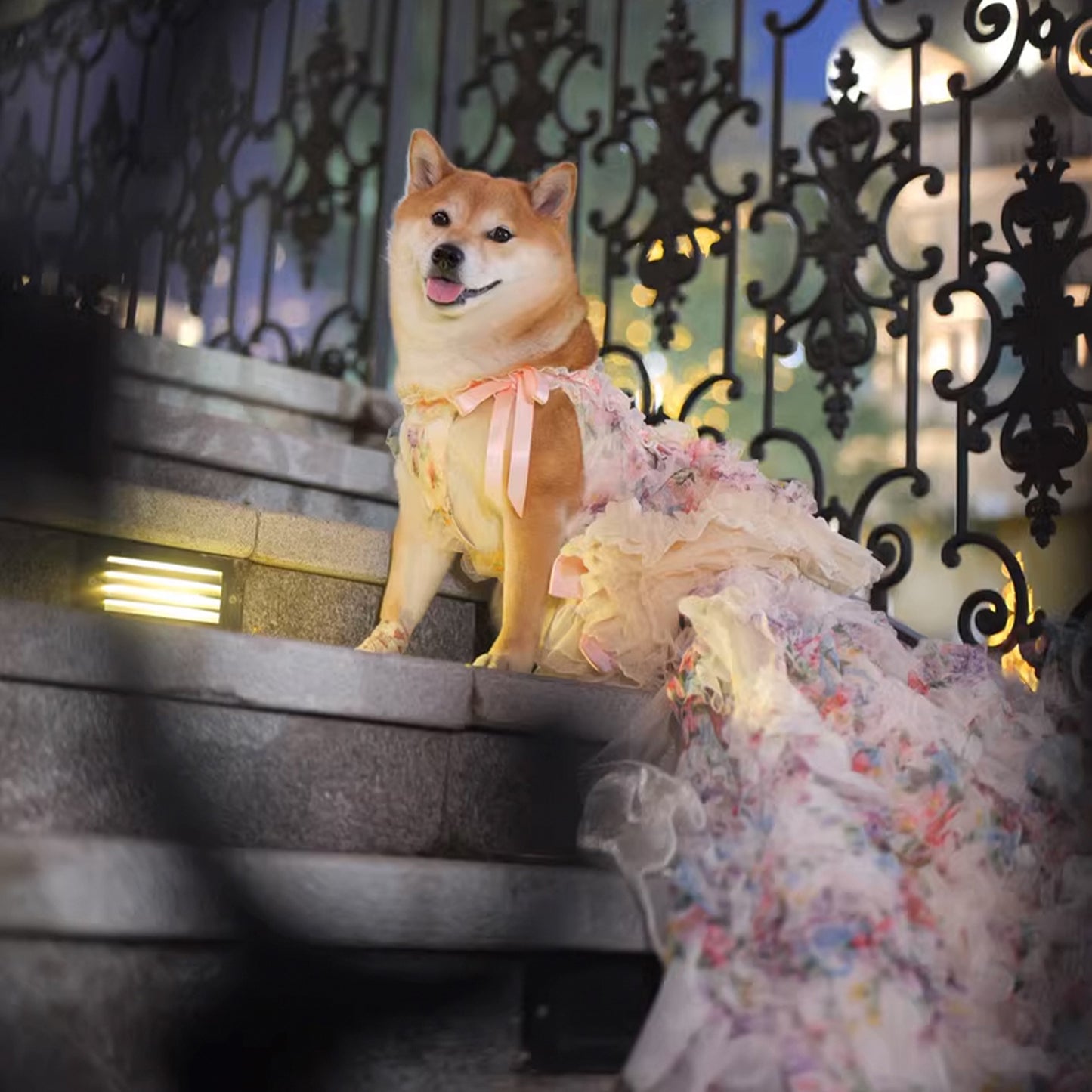 3D Rose Removable Long Trailing Pet Dress