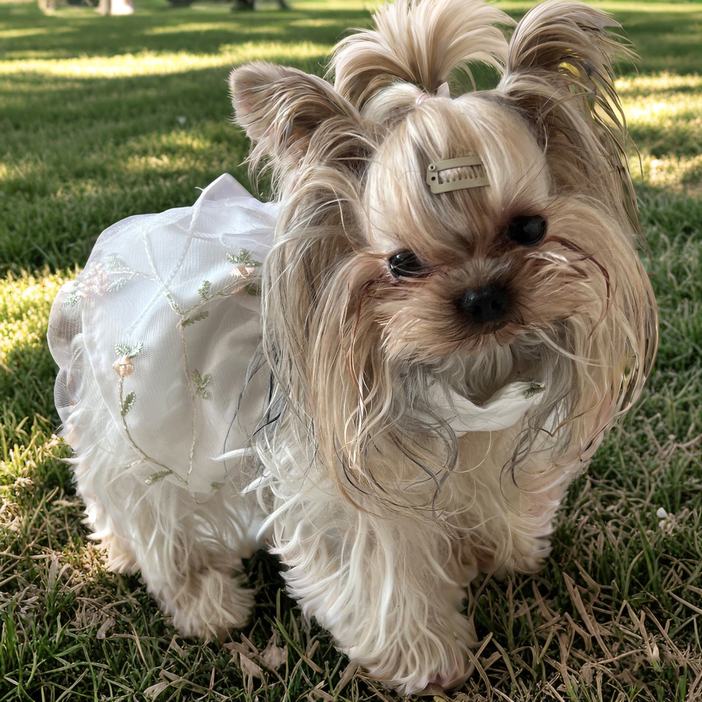 Custom Valentine's Princess Dog Dress with Embroidery Name