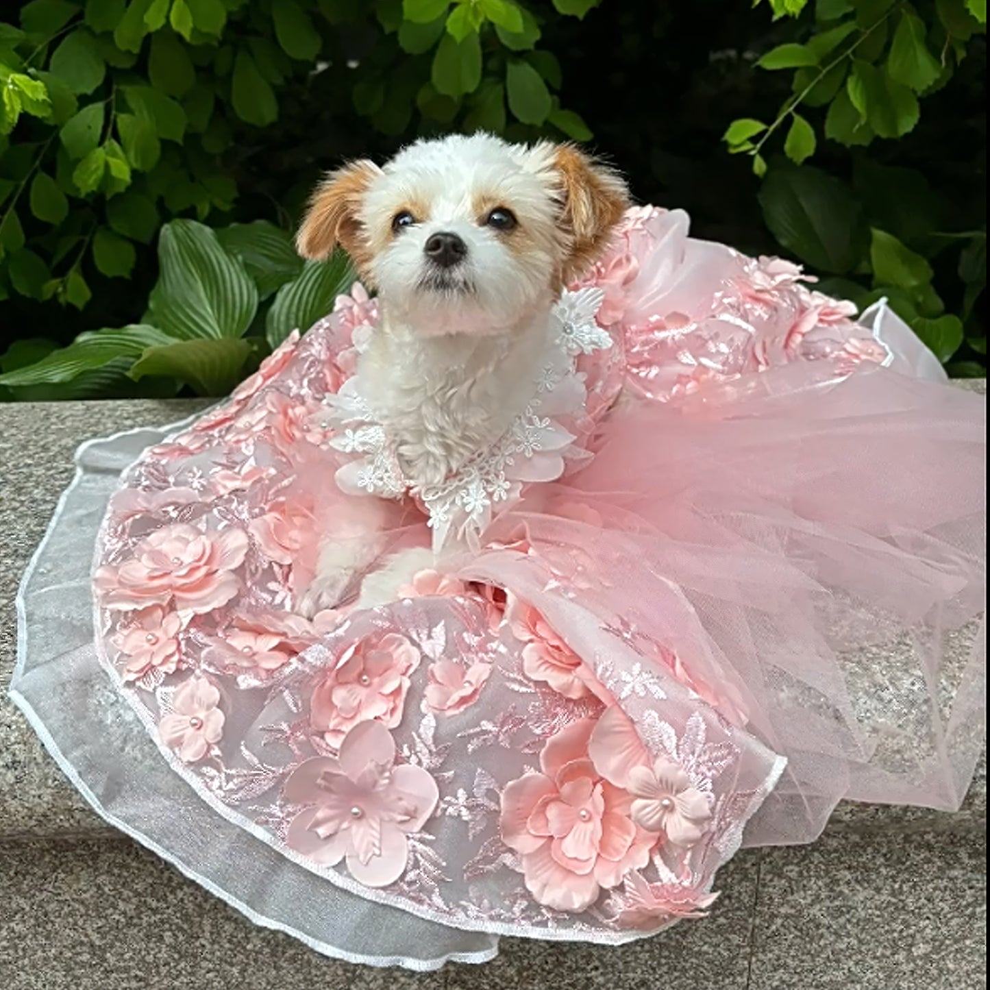 Pink 3D Floral Wedding Gown for Dogs/Cats – Long Train
