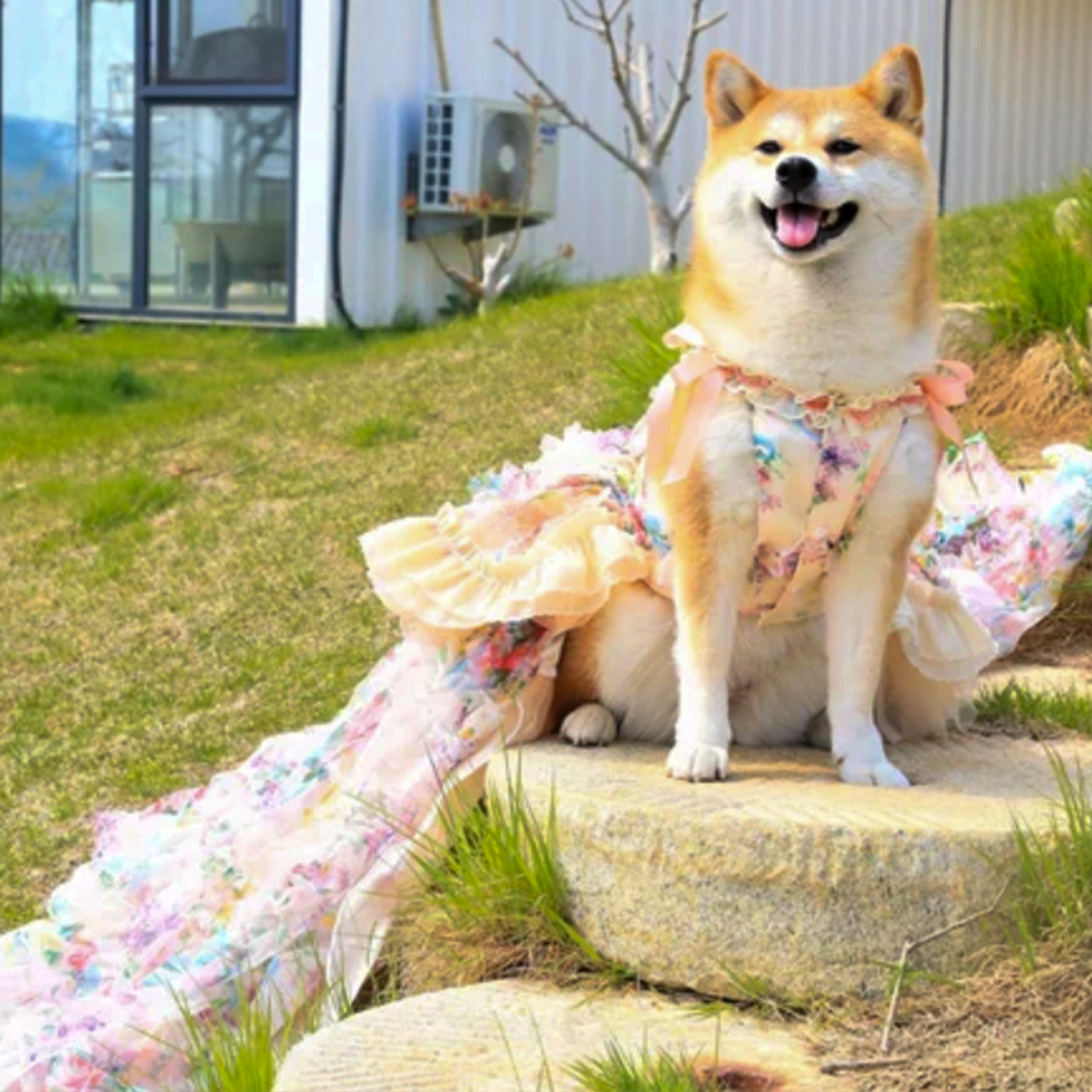 3D Rose Removable Long Trailing Pet Dress