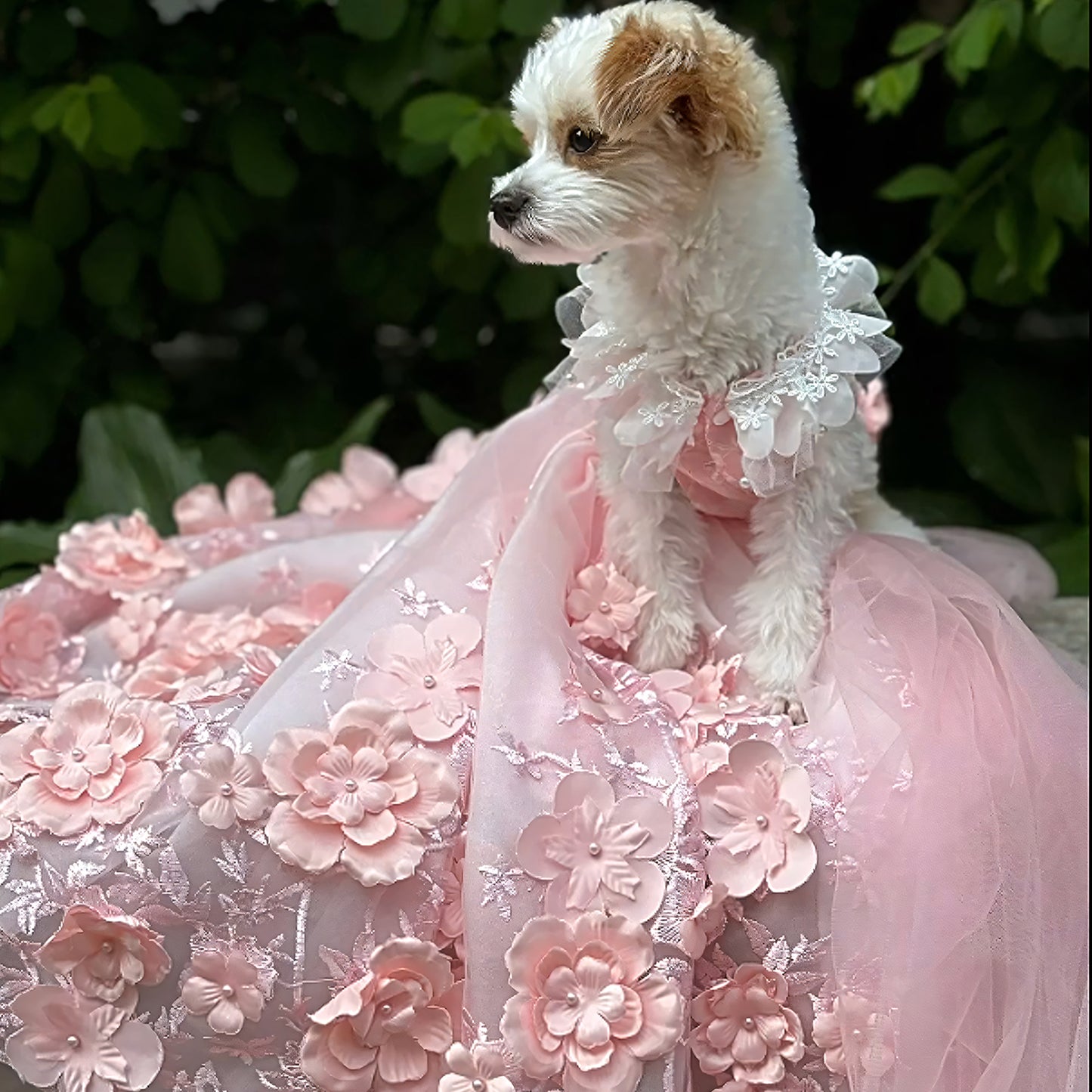Pink 3D Floral Wedding Gown for Dogs/Cats – Long Train