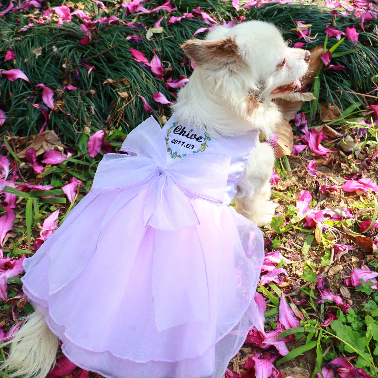 Custom Dog Wedding Dresses in Organza and Tulle with Embroidered Name