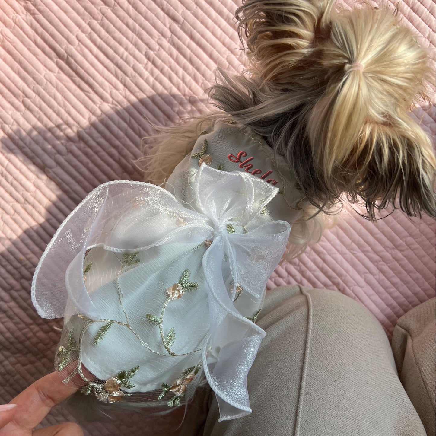Personalized Double-Layer Princess Dog Dress with Embroidery Name