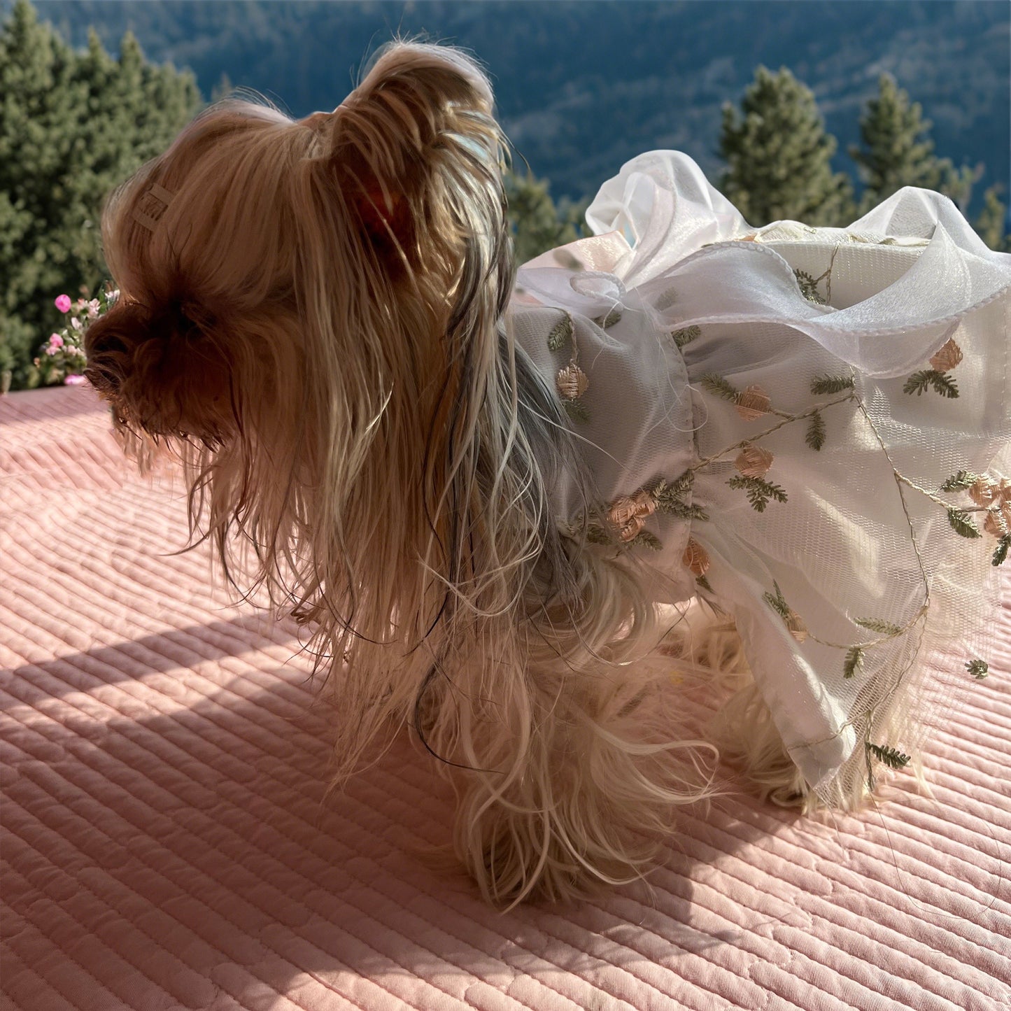 Personalized Double-Layer Princess Dog Dress with Embroidery Name