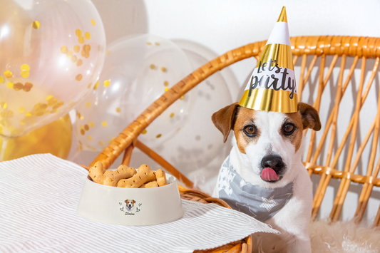 Make This Holiday Magical with Custom Embroidered Gifts for Your Furry Friends