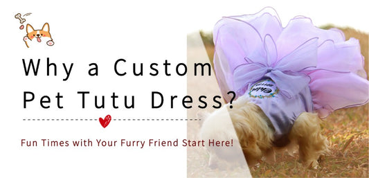 Custom Pet Tutu Dress: A Heartfelt Gift for Special Moments