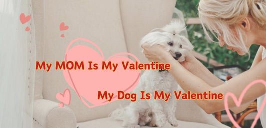 Funny Valentine's Day Slogans for Dog Moms