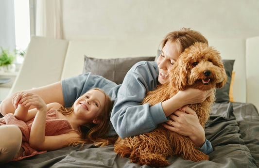 Why Custom Pet Embroidery Products Are Capturing Hearts