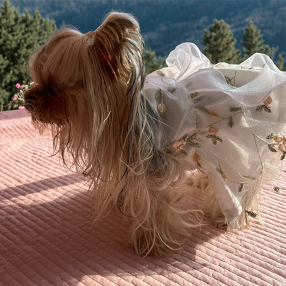 Custom Valentine's Princess Dog Dress with Embroidery Name