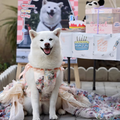 3D Rose Removable Long Trailing Pet Dress