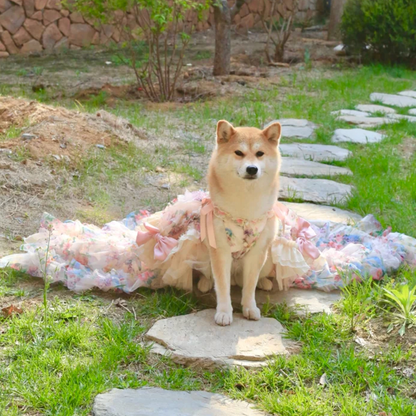 3D Rose Removable Long Trailing Pet Dress
