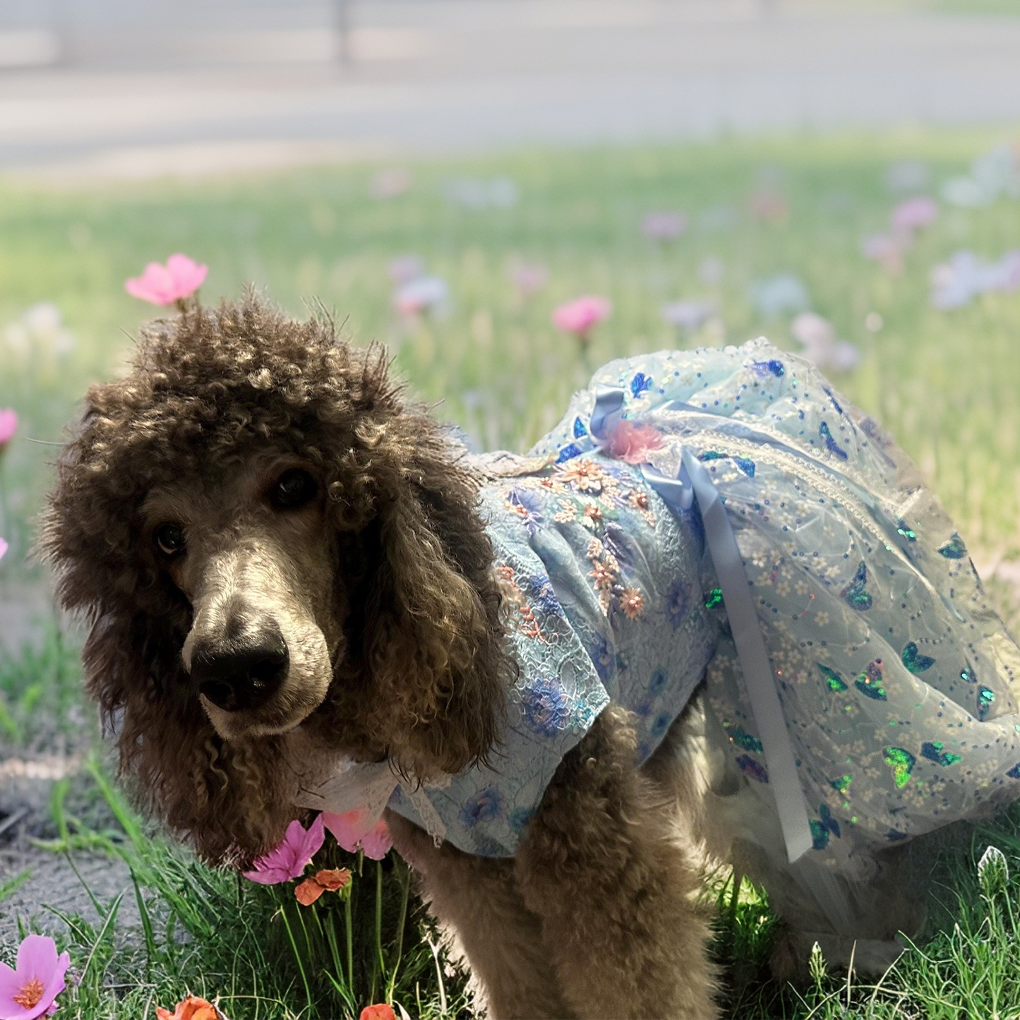 Blue Daisy Sequin Trailing Exquisite Wedding Dress for Dogs