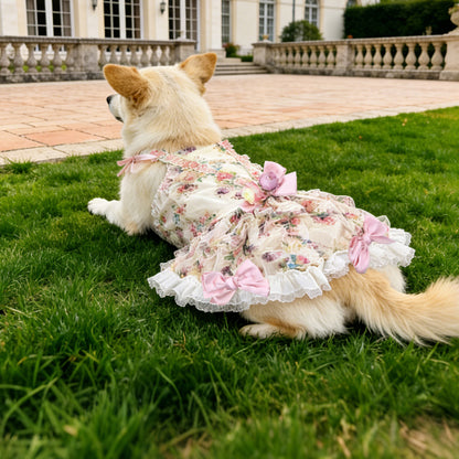 3D Rose Floral Princess Dress for Dogs & Cats