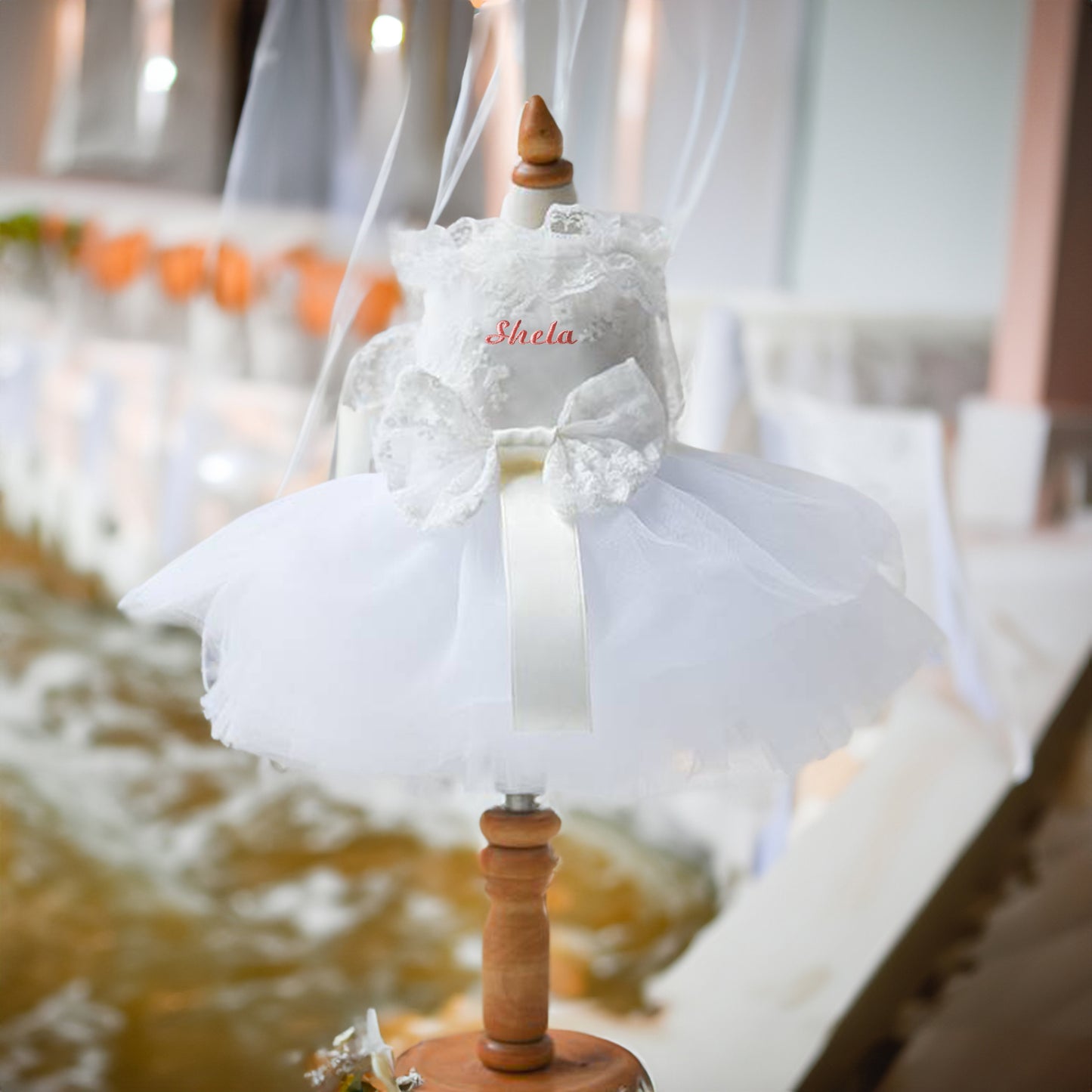 Custom Embroidered Dog Wedding Dress with Delicate Lace Collar Pet Tutu