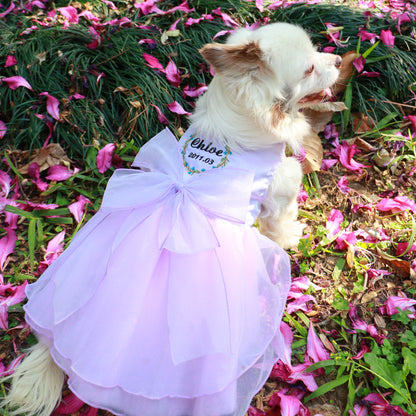 Custom Dog Wedding Dresses in Organza and Tulle with Embroidered Name