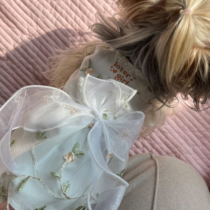 Custom Valentine's Princess Dog Dress with Embroidery Name