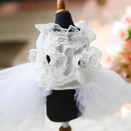 Custom Embroidered Dog Wedding Dress with Delicate Lace Collar Pet Tutu