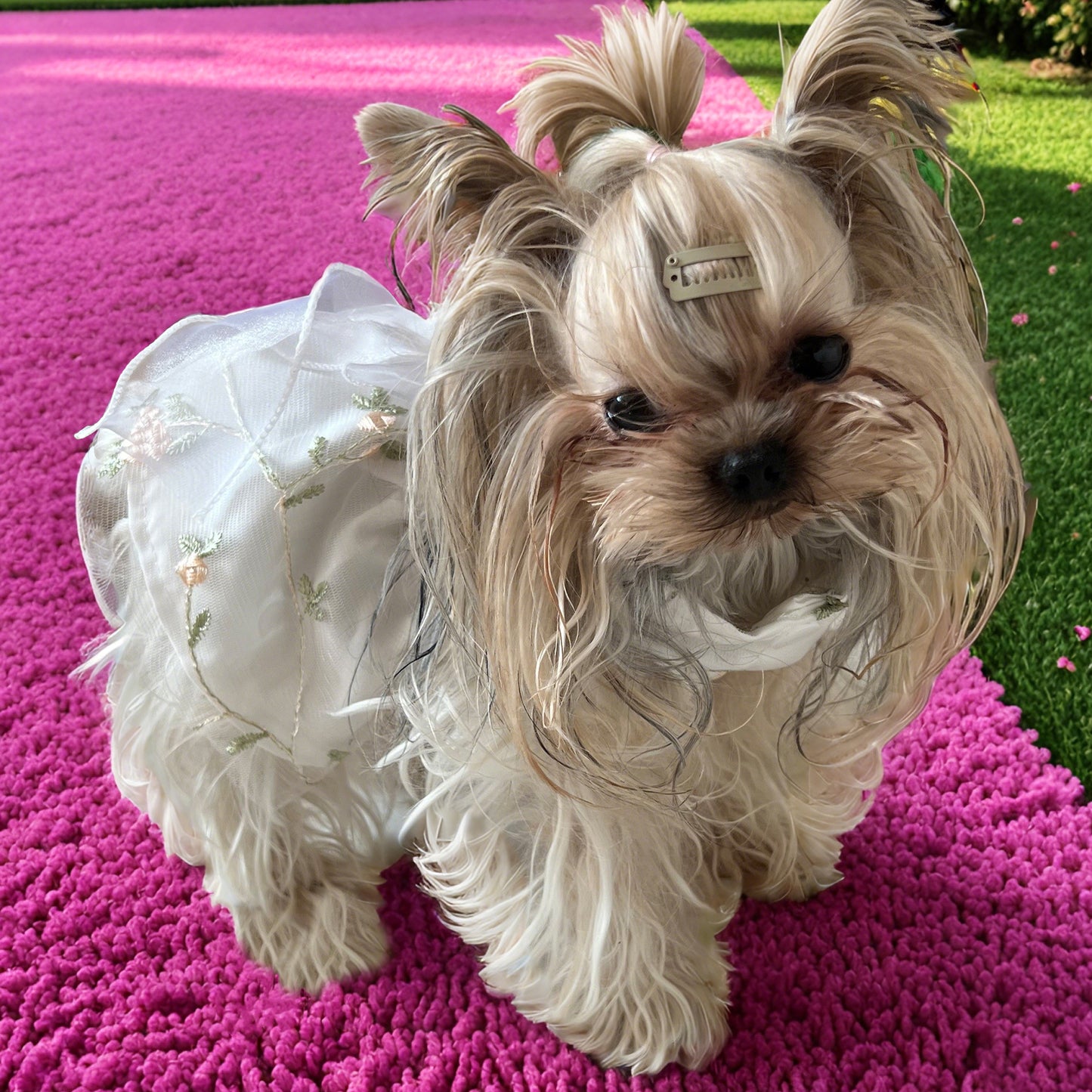 Personalized Double-Layer Princess Dog Dress with Embroidery Name