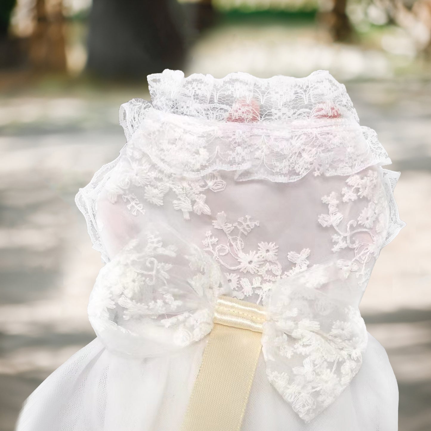 Custom Embroidered Dog Wedding Dress with Delicate Lace Collar Pet Tutu