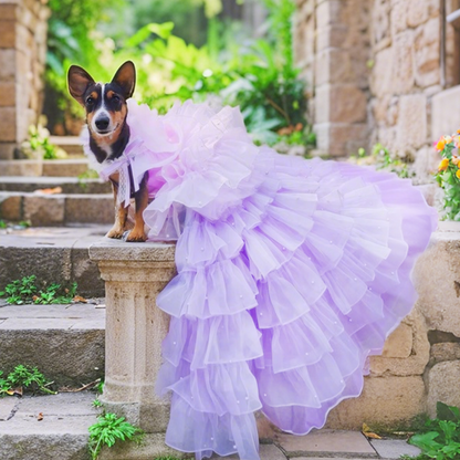 Violet Flower Pearl Dress for Dogs/Cats - Removable Dress