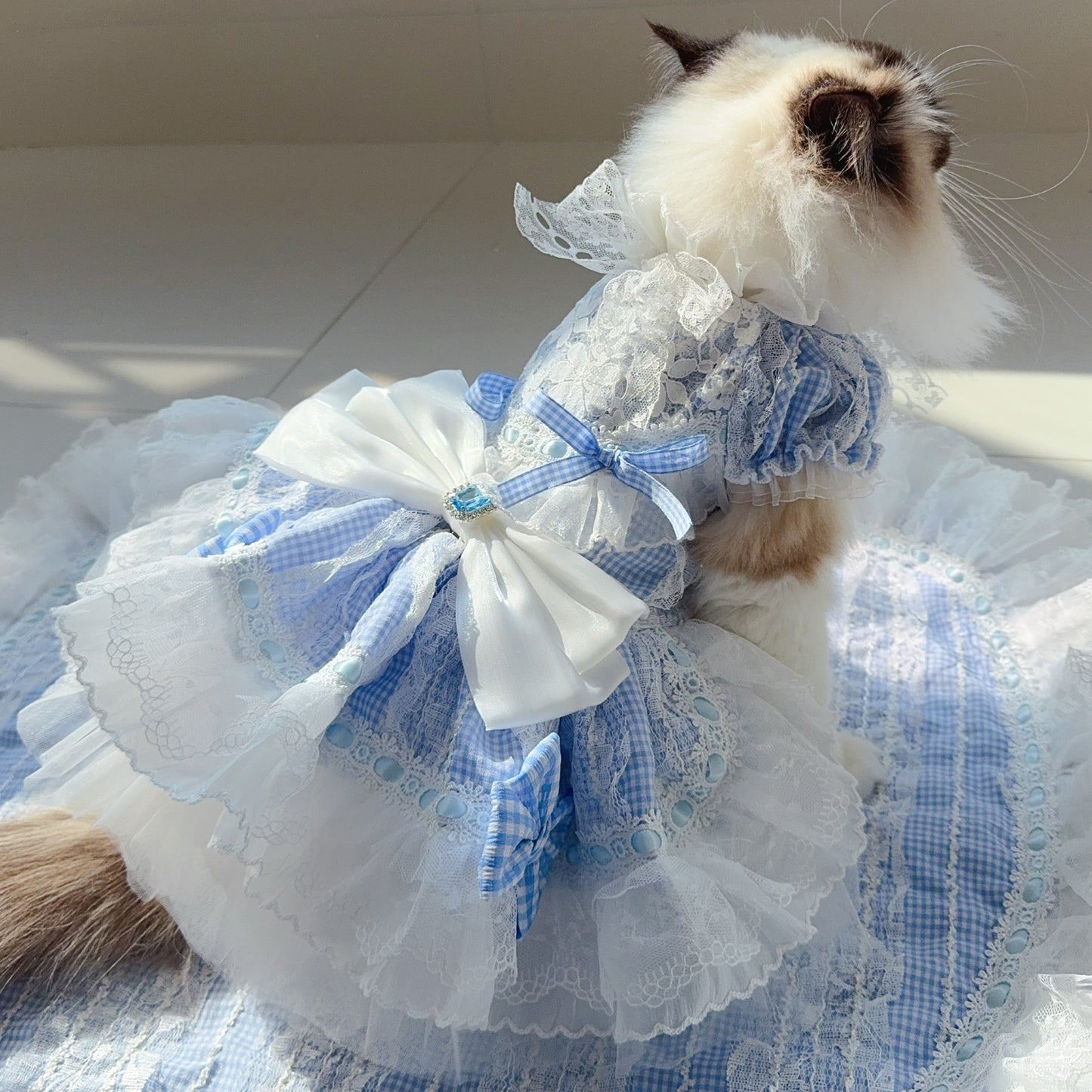 Lace Lolita Fluffy Ruffled Pet Dress for Going Out