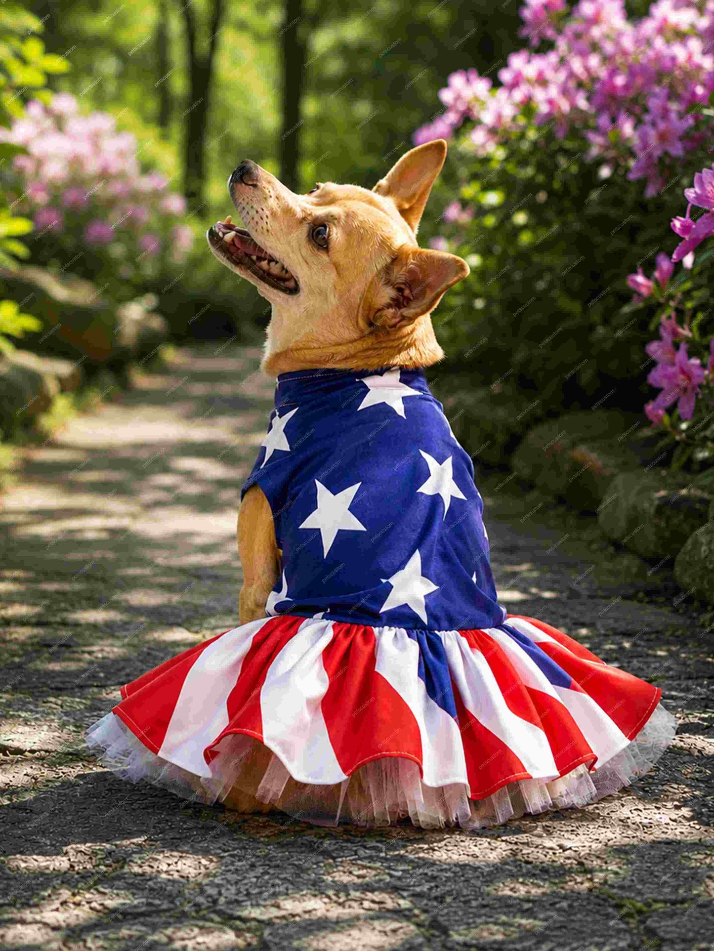 USA Soccer Fan Pet Gown – Luxury Patriotic Puffy Cake Dress for Dogs & Cats (Long / Short)