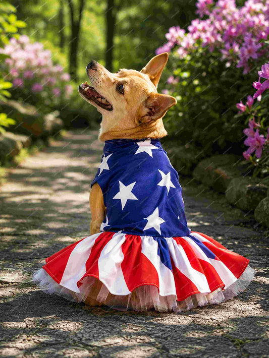USA Soccer Fan Pet Gown – Luxury Patriotic Puffy Cake Dress for Dogs & Cats (Long / Short)