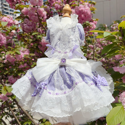 Lace Lolita Fluffy Ruffled Pet Dress for Going Out